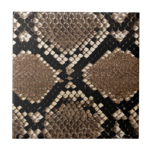 ダイヤモンドバックラトルネクスキン タイル (正面)