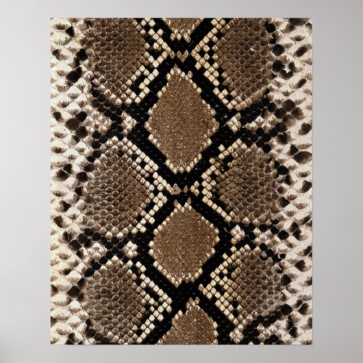 ダイヤモンドバックラトルネクスキン ポスター (正面)