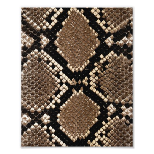 ダイヤモンドバック ラットレスネーク スキン フォトプリント            (正面)