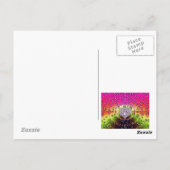 ダイヤモンドフラクタル ポストカード (裏面)