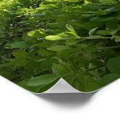 ダイヤモンドヘッドスカイ ポスター (角)