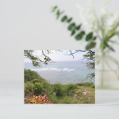 ダイヤモンドヘッドルックアウト ポストカード (スタンド正面)