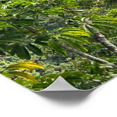 ダイヤモンドヘッド ポスター (角)