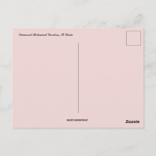 ダイヤモンドボタニカルガーデンズセントルシア ポストカード (裏面)