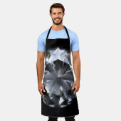 ダイヤモンド石：黒い宇宙の輝き。 エプロン (着用した状態)