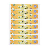 ダイヤモンド銀河系7 ラップアラウンドラベル (シート)