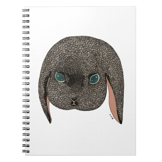 ダイヤモンド2012年 ノートブック (正面)