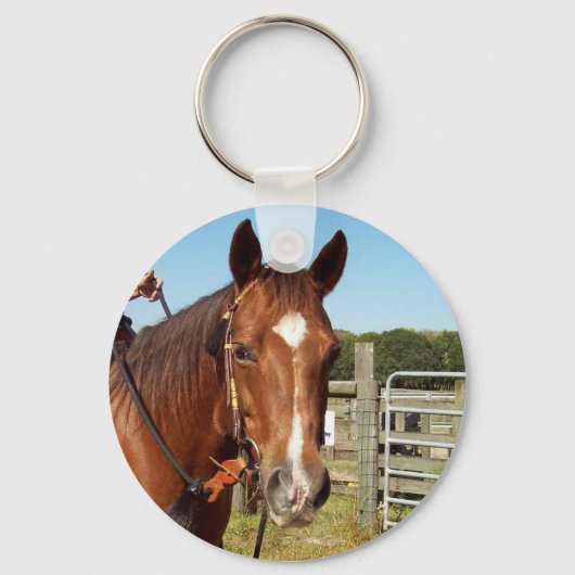 ダイヤモンド キーホルダー (正面)