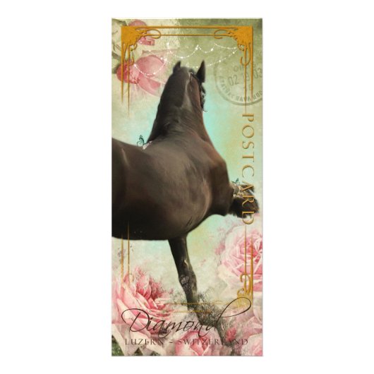 ダイヤモンド- Rackcard 3/郵便はがき ラックカード (正面)