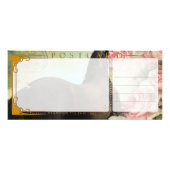 ダイヤモンド- Rackcard 3/郵便はがき ラックカード (裏面)