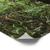 ダイントリー国立公園(ユネスコ世界伝統2) ポスター (角)