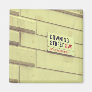 ダウニング通り磁石 マグネット