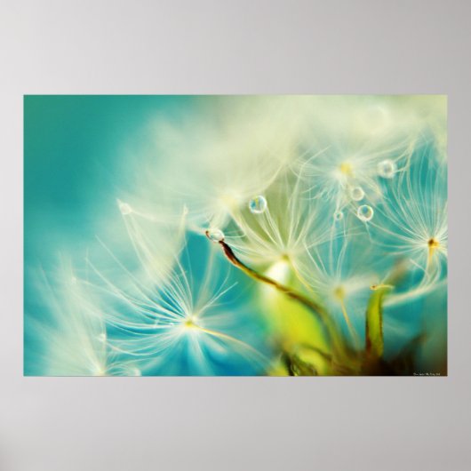 ダウンウォーター ポスター (正面)