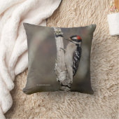 ダウンウッドペッカーバードオンブランチ クッション (ブランケット)