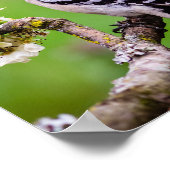 ダウンウッドペッカープリント ポスター (角)