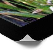 ダウンウッドペッカープリント ポスター (角)