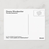 ダウンウッドペッカーポストカード ポストカード (裏面)