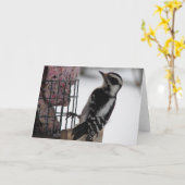 ダウンウッドペッカー カード (黄色い花)