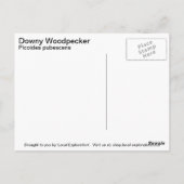 ダウンウッドペッカー ポストカード (裏面)