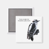 ダウンウッドペッカー マグネット (正面/裏面)