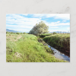 ダウンザクリーク葉書 ポストカード