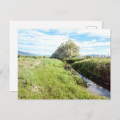 ダウンザクリーク葉書 ポストカード (正面/裏面)