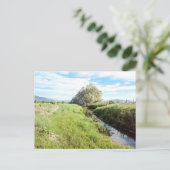 ダウンザクリーク葉書 ポストカード (スタンド正面)