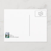 ダウンシカゴリバーポストカード ポストカード (裏面)