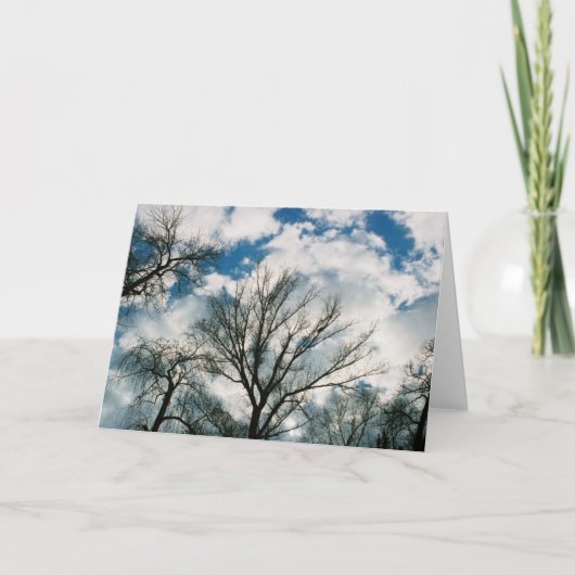 ダウンタウンスカイズ カード (正面)