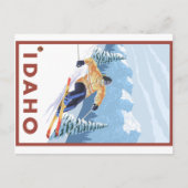 ダウンヒルスノースキーヤー – アイダホ ポストカード (正面)