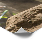 ダウンヒル山のサイクリングジャンプ ポスター (角)