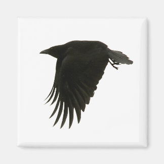 ダウンビート磁石 マグネット