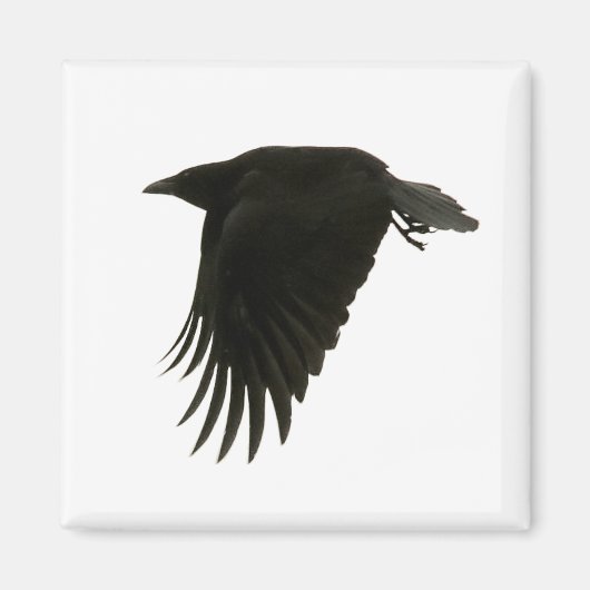 ダウンビート磁石 マグネット (正面)