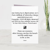 ダウン・ザ・サン カード (裏面)