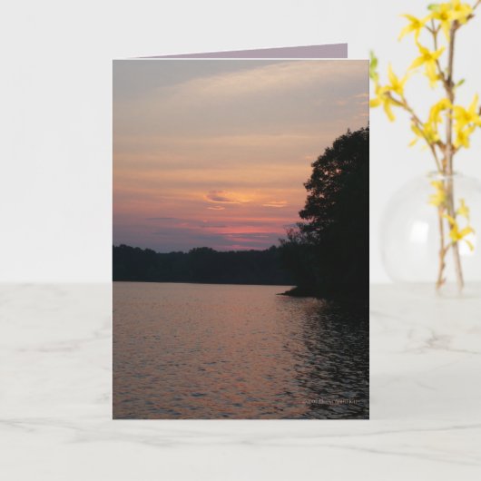 ダウン・ザ・サン カード (黄色い花)