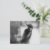 ダウン ポストカード (スタンド正面)