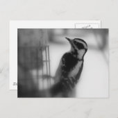 ダウン ポストカード (正面/裏面)