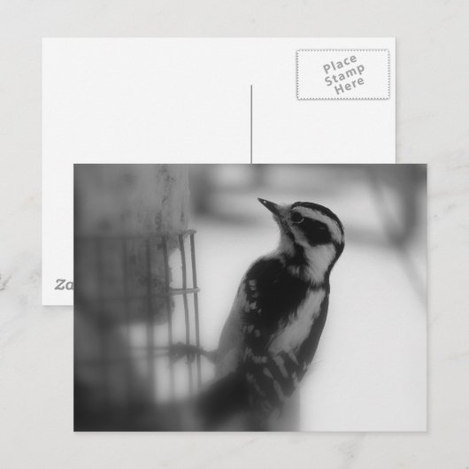 ダウン ポストカード (正面/裏面)