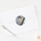 ダウンWoodpeckerのステッカー ラウンドシール (封筒)