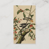 ダウンWoodpecker - Audubon's Birds of America 名刺 (裏面)