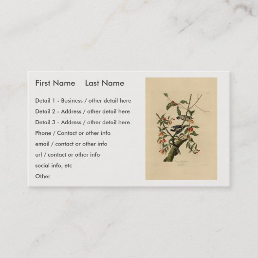 ダウンWoodpecker - Audubon's Birds of America 名刺 (正面)