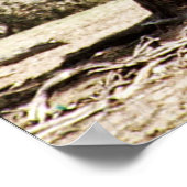 ダオブ・ジプシーのポスター ポスター (角)