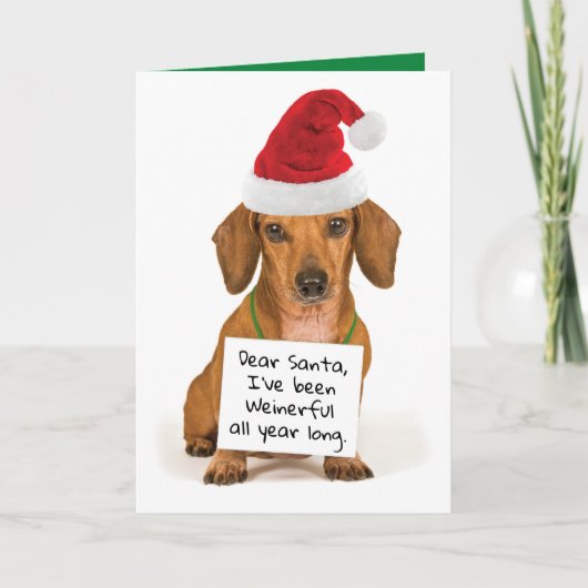 ダクシおもしろいュントがあなたに一生のクリスマスを祈る シーズンカード (正面)