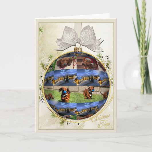 ダクシュントクリスマスカード シーズンカード (正面)