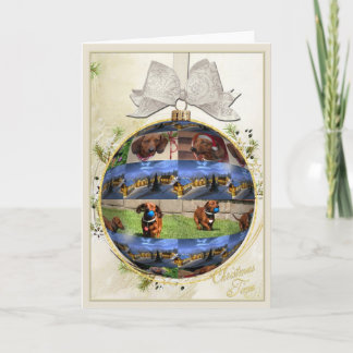 ダクシュントクリスマスカード シーズンカード