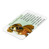 ダクシュント伝統オブラブ マグネット (左側)