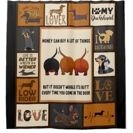 ダクシュント·マネーはダ買クシュントに多くのことができる シャワーカーテン (正面)