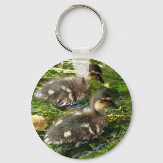 ダクリングはがき キーホルダー (正面)