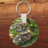 ダクリングはがき キーホルダー (正面)