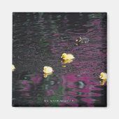 ダクリング マグネット (正面)